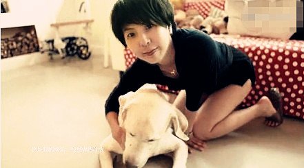 梁咏琪孙俪画胡子扮宠物 许茹芸加盟公益短片(图) 