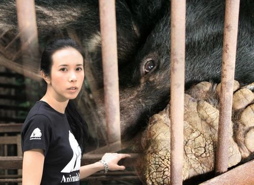 腾讯独家播放:莫文蔚最新拯救黑熊公益宣传片
