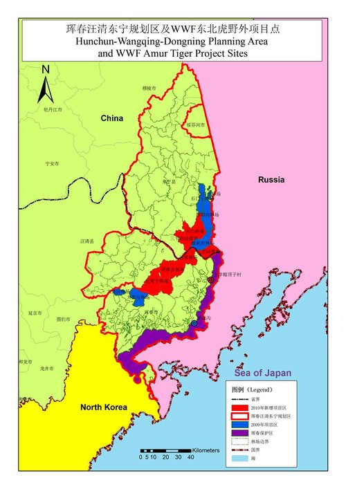 中国野生东北虎栖息地监测巡护面积扩大三倍(图)