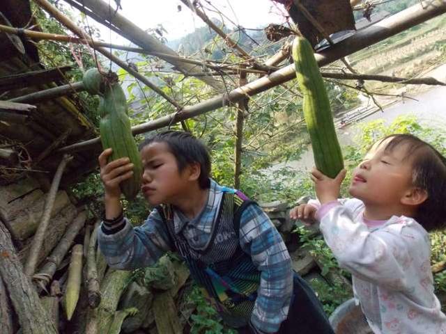 寻找孩子的天目：来平遥看西南大山里孩子们的影像