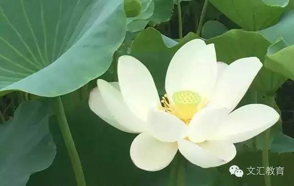 这位英国勋爵究竟做了什么,竟让习大大特别夸赞