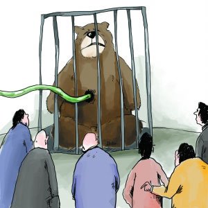 歸真堂開放熊場未獲得友善回應 無痛被指不可能