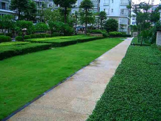 住宅小区消防车道设计要点