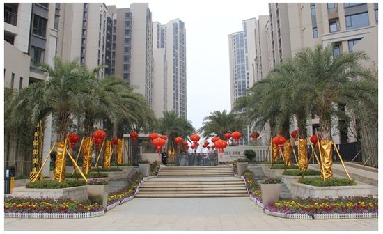 【感恩母爱】花样城推20套亲情价特惠感恩房