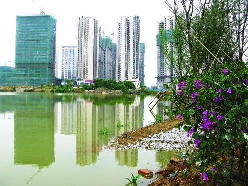临桂新区:高起点大手笔建设生态新城_频道-桂