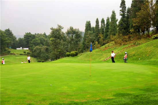 高尔夫果岭_高尔夫果岭收入(2)