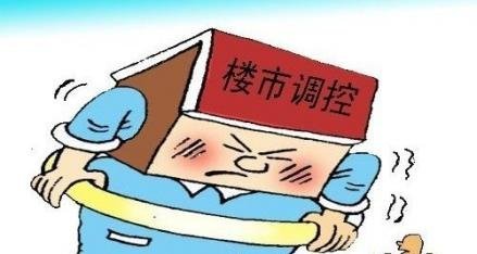 人口老年化的调控_除了人口老龄化外,中国楼市最大的利空是什么(3)