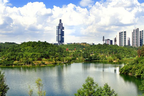 2017国内生产总值增长_贵阳人均生产总值(2)