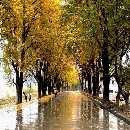 空山新雨后 天气晚来秋之诗意贵阳篇
