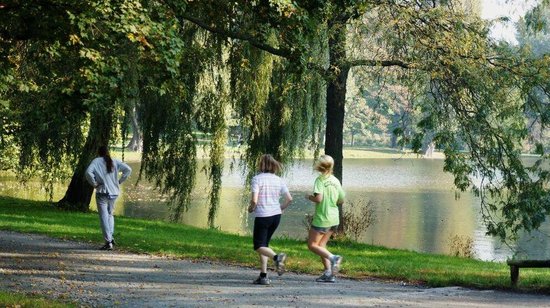 俊发城:三大公园环绕 动静皆宜举步即享