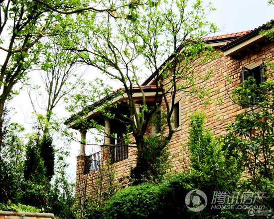 高处也胜寒 乐湾高层诠释不一样的精彩人生