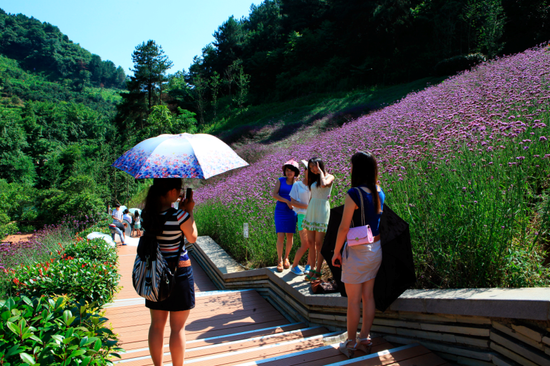 小车河城市湿地公园申报国家级