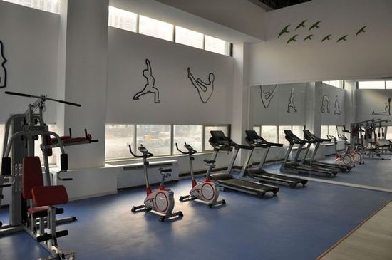 莫斯科人均绿地面积_人均室内面积(2)