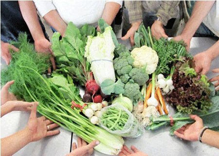 陈敏尔:加快把农村电子商务培育成为新的增长