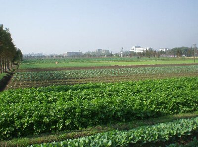 中国人均住宅_中国农民人均土地