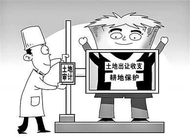 整治土地乱象 审计之后更应严肃追责