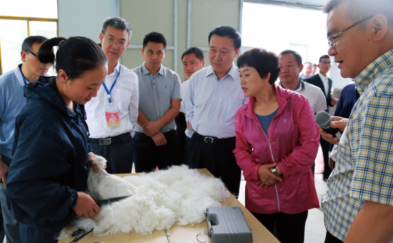 贵州省扶贫办出台长毛兔产业发展规划