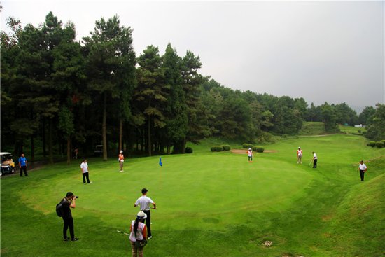 高尔夫果岭_高尔夫果岭收入(2)