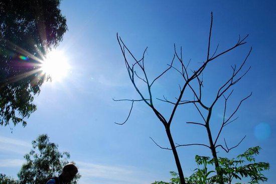 春节前最后一个周末天气晴朗