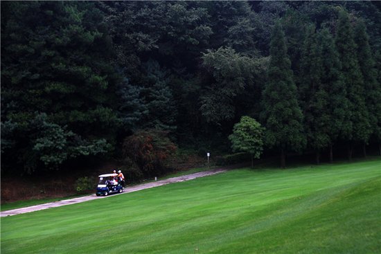 高尔夫果岭_高尔夫果岭收入(2)