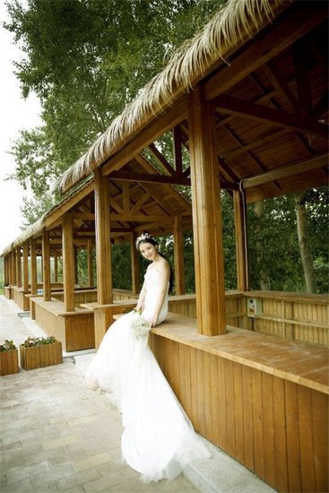 不去普罗旺斯 就在冰城看遍熏衣草花海_频道-