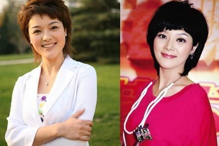 央视<em>女主播</em>胡蝶被疑<em>整容</em> 整形专家出面反驳_娱