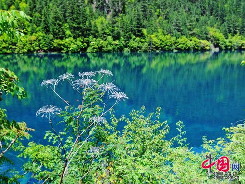 九寨沟十一自由行全攻略(图)_畅游神州自动