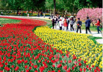 长假游玩攻略之畅游北京城_今日推荐