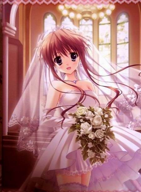 大饱眼福,美艳动人的<em>动画美眉</em>婚纱照_湖北3C