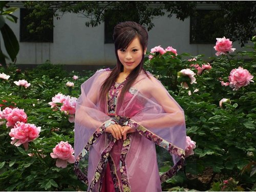 2010武汉东湖牡丹花会精彩活动抢先看_周边前