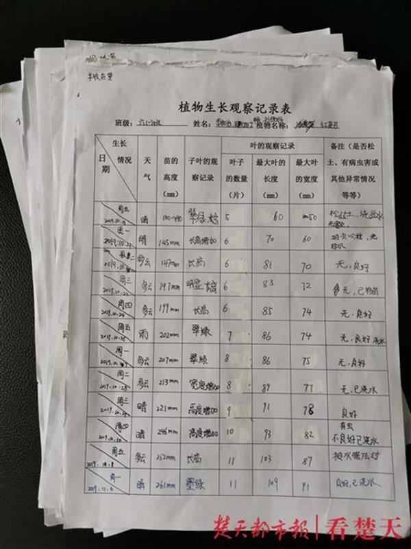学生的种植记录表