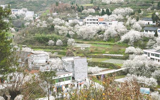 湖北实施环