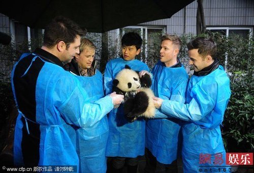 西城男孩组合抵达成都 与张杰一同探访大熊猫