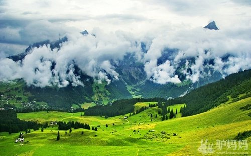 我的瑞士,我的盗梦空间