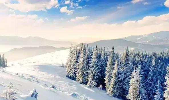 武汉冬天最美的事 至少做三件才对得住自己