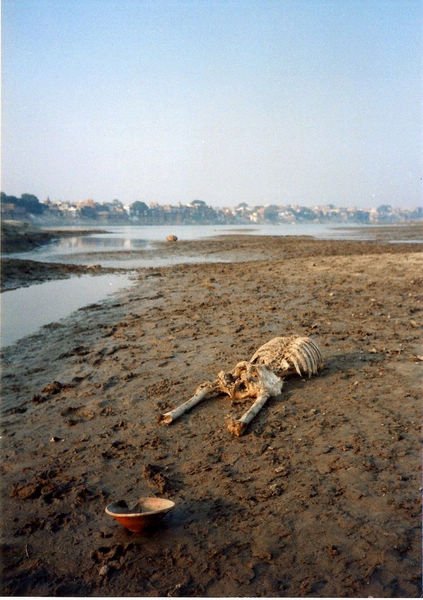 探秘印度恒河:与浮尸一起沐浴