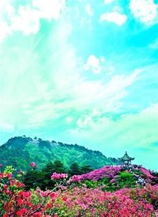 麻城市市区人口_麻城市地图(2)