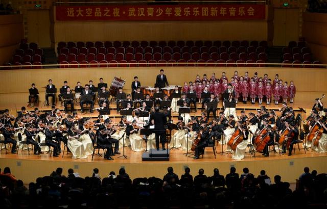 武汉青少年爱乐乐团昨晚举行首场新年音乐会