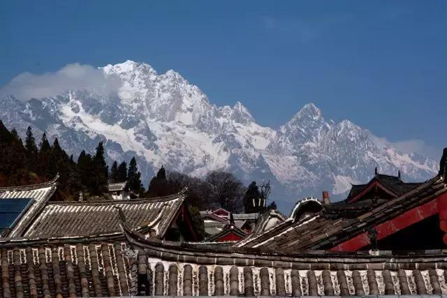 武汉冬天最美的事 至少做三件才对得住自己