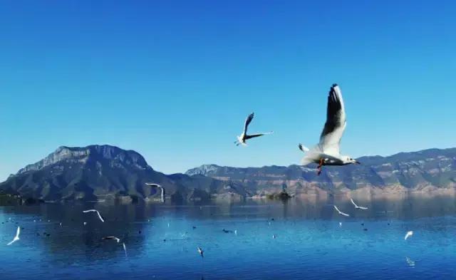 武汉冬天最美的事 至少做三件才对得住自己