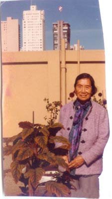 巾帼女儿传:谢冰莹