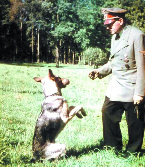 纳粹曾办狗学校教狗说话