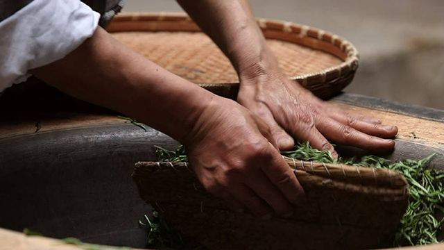 OCOP大赛展播:“楚天第一茶”—— 采花毛尖