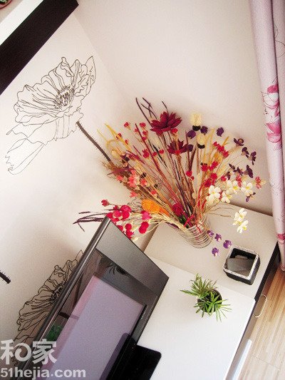 30平米一室户装修:再简单也要时尚与实用_家居