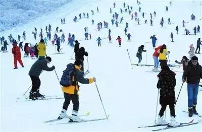 武汉冬天最美的事 至少做三件才对得住自己