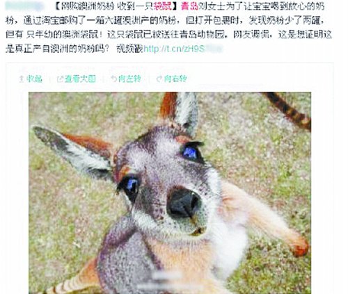 买奶粉送袋鼠?胡扯