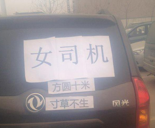 晕!<em>女司机误把油门当刹车</em>_大楚网_腾讯网
