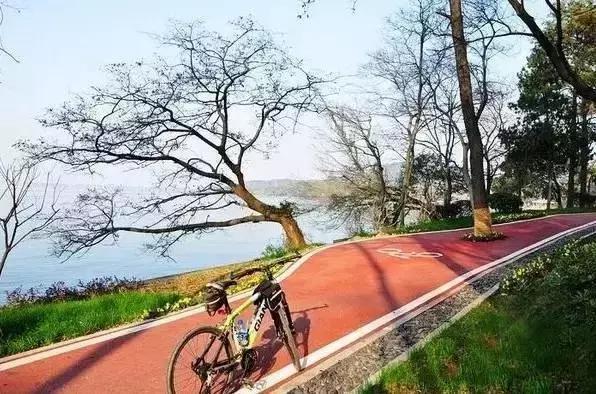 武汉冬天最美的事 至少做三件才对得住自己