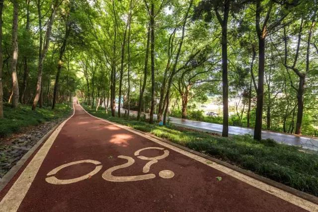 武汉冬天最美的事 至少做三件才对得住自己