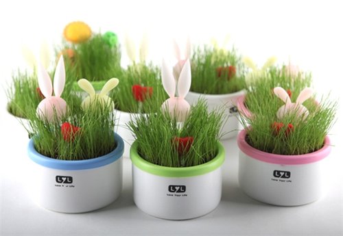 植物种植技术方法 57009953.jpg